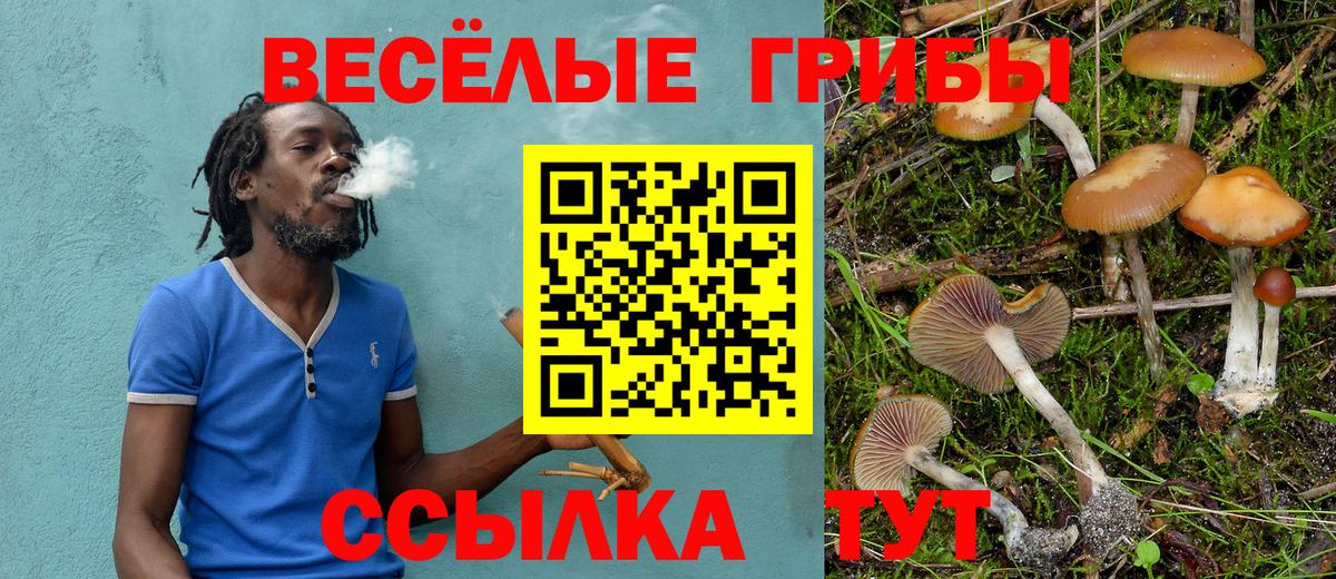 Галлюциногенные грибы Psilocybe Лесной