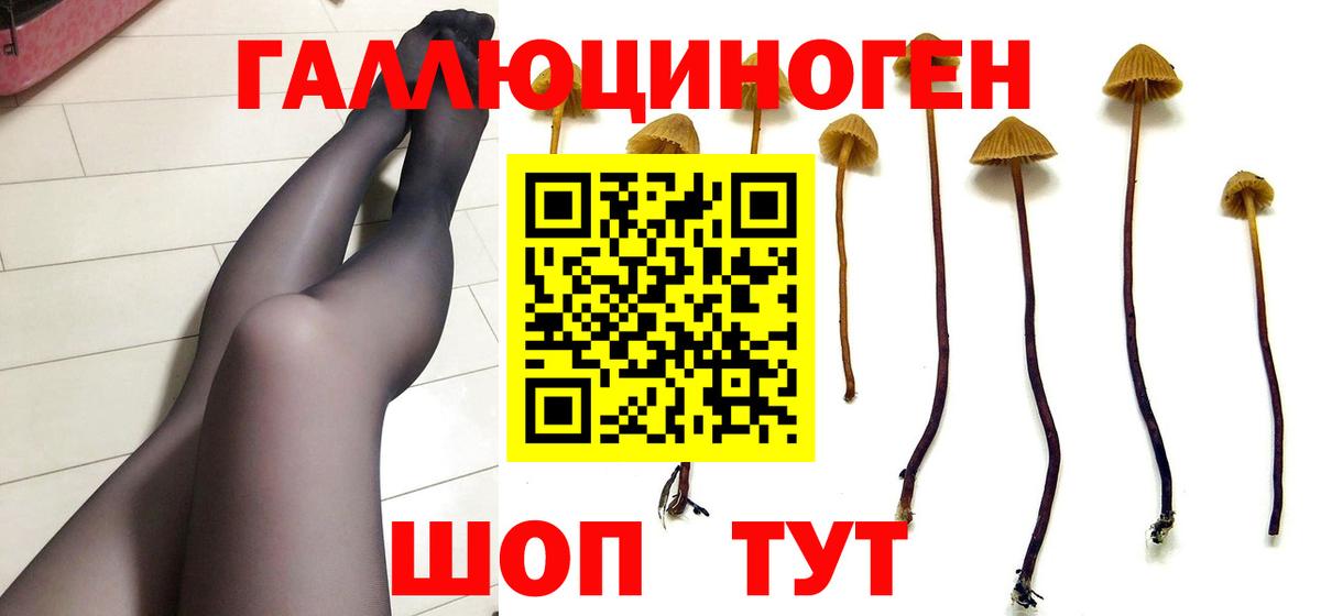 Галлюциногенные грибы мицелий  Лесной 